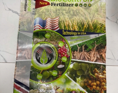 Xu Hướng Bao PP Dệt Thân Thiện Môi Trường 2025