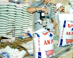 Bao pp dệt đóng phân gà