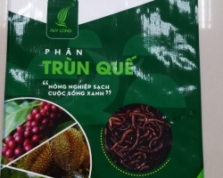 Bao pp dệt đóng phân gà